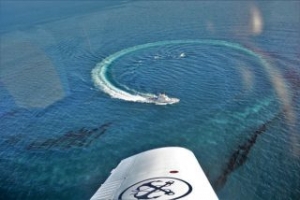 Two Arrested from Oil-Spill Cleanup Ship in Greece