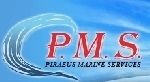 Piraeus Marine Services S.A.