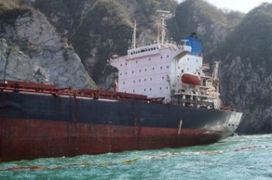 Two Vessels Arrested in Malaysian Waters for Illegal Oil Transfer