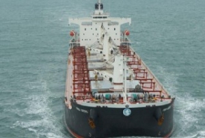 Mercator Lines Continues Its Losing Streak