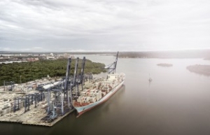 Maersk Groups Q3 Profit Cut by Almost a Half