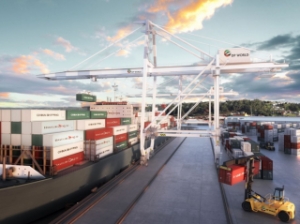 DP World Australia, Tasports Bet on Cabotage Law Changes