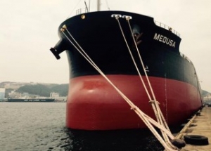 Falling Freight Rates Keep Diana in Red