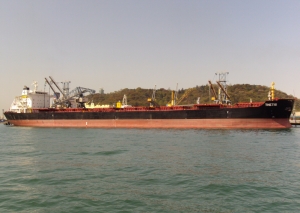 Greece: Diana Shipping Inks Charter Contract for MV Thetis