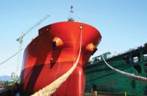 ShinaSB Files for Bankruptcy
