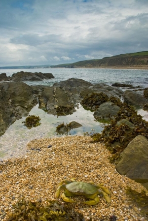 Coastline Surveys Earns Safety Accreditation