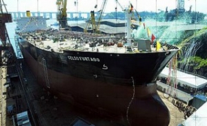 Eisa Files for Bankruptcy