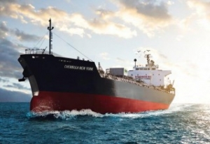 USCG Detains Bulker Due to Safety Violations