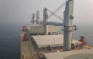 New Wave of Bankruptcies for Chinas Dry Bulk Companies
