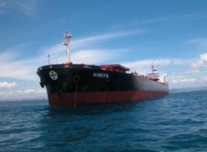 Diana Finds Work for Panamax Bulker