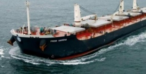 Mercator Lines Existing Dry Bulk, Divesting Fleet