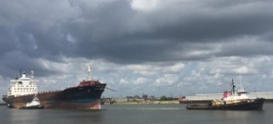 Goldenport Holdings Freezes Debt Repayment