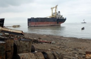 FMC to Hold Hearing on Container Weighing