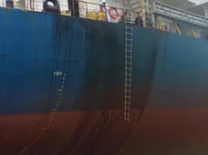 Bulker Releases Oil near Kalama, Cleanup Underway