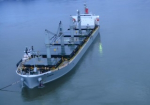 USCG Keeps an Eye on Grounded Bulker for Pollution