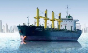 Precious Shipping Offloads Old-Timer