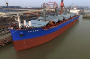 Pioneer Marine Drops Five More Newbuildings