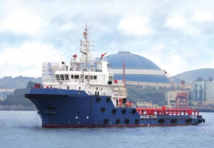 Nam Cheong to Jointly Invest in Shipping Firm in Indonesia