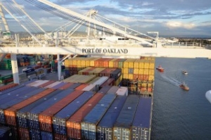 Diana Fixes Bulker Duo with Dutch Firm
