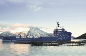 Damen: Answer to PSV Idleness Is Conversion
