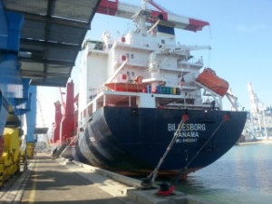 Cargo Ship Fined for Marine Pollution in Haifa