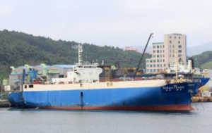 Storm Grounds Car Carrier off Busan, Korea