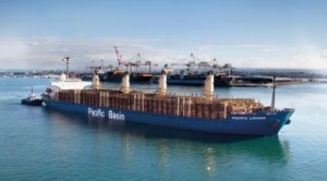 Pacific Basin Eyes Rights Issue to Navigate Tough Market