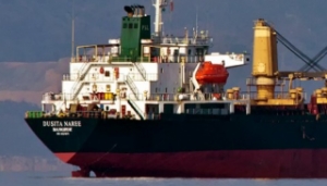 Precious Shipping Drops Newbuild Trio at Sanfu