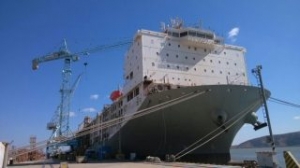 New Livestock Carrier Joins Wellards Fleet