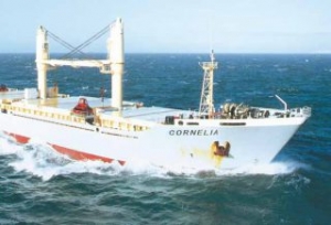 HHI Hands In Self-Rescue Plan to Creditors