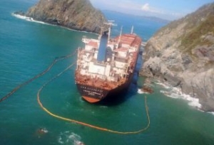 Profepa: Grounded Los Llanitos All Set for Dismantling