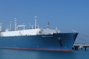 Höegh LNG Partners Sinks to Loss in Q1