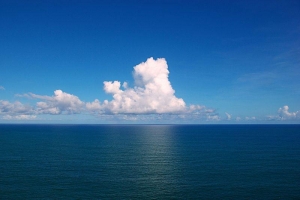 Ocean Degradation: Greater, Faster, Closer