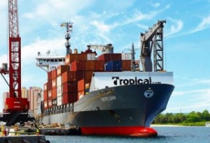 Tropical Shipping Orders Feeder Duo at Chinese Yard