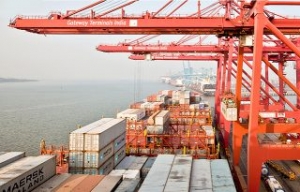 Maersk Accused of Setting Prices at Indian JN Port