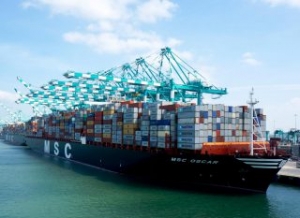 MSC Reshuffles Services, Adds More Mexico Calls