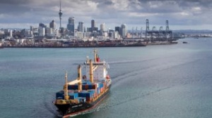 Ports of Auckland Fined After Worker Injured in Fall
