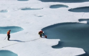 Arctic Circle Assembly to Advance Business Cooperation in the Arctic