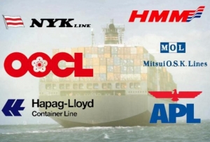 G6 Alliance Implements Asia-Europe Winter Program