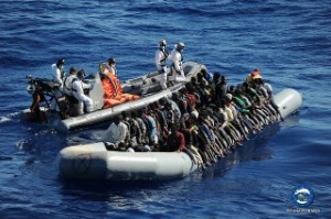 Sophia Rescues 20,000 in 13 Months