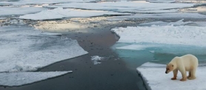 Alaska Governor Invites Regional Arctic Investments