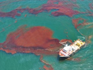 Oil Spill Clean-Up Ops Continue in Lake Grande Ecaille