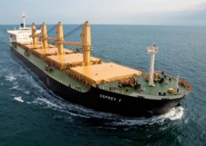 Eagle Bulk Opts to Sell Another Bulker, Stays in Red
