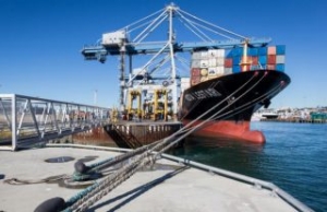 Ports of Auckland to Start Terminal Automation
