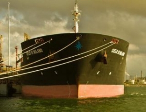 Senior Officers Admit Covering Up Oily Waste Dumping