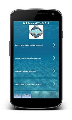 Dolphin & Whale 911 App Released