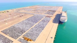 Abu Dhabi Ports In Clover