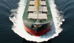 Jinhui Shipping Sells One More Bulk Carrier