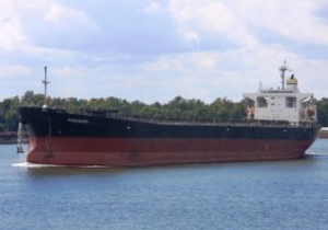 Bulk Carrier Experiences Engine Issue in Suez Canal