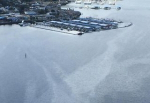 Vessel Owners Fined for Port Orchard Oil Spill